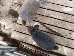 -上海多利农业发展有限公司