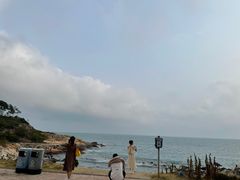 -广东惠东海龟国家级自然保护区
