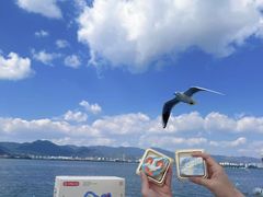 -昆明冠生园·蛋糕·面包(南强街店)