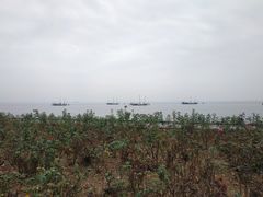 -贡湖湾湿地公园