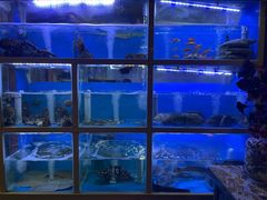 水产区-泮金大塘(北二七路店)
