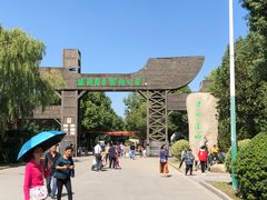 -溱湖国家湿地公园