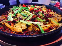 -老板恋上鱼(恒隆广场店)