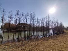 -苏州太湖国家湿地公园