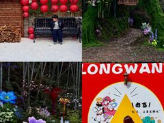 -龙湾潭国家森林公园