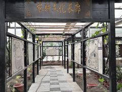 -上海都市菜园