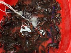 -海盗船. 龙虾烧烤. 酒馆