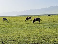 -新疆那拉提国家旅游度假区