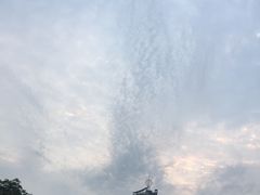 -优品颂烘焙咖啡(南山店)