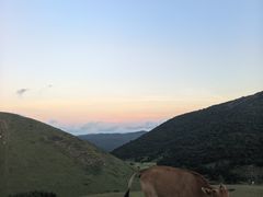 -大姆山草场
