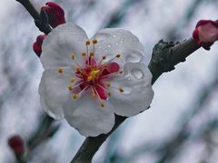 -同里国家湿地公园
