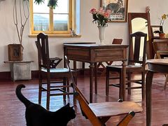 -春风十里咖啡馆