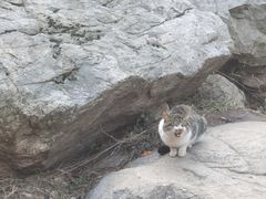 -抱龙峪