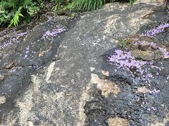 -青岩寺风景区