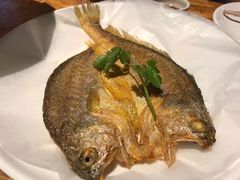 -陈鹏鹏潮汕菜(欢乐海岸 海边景观店)