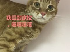 -爱诺耐芙动物医院(万博店)