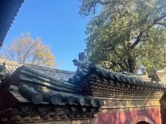 -建水文庙