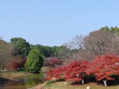 -凤凰沟景区