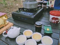 -蒲河岛湿地公园