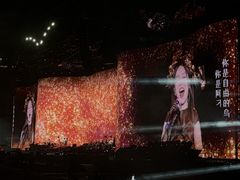 -南京奥林匹克体育中心-体育馆