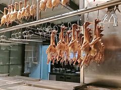 -三强鸽子(中原路店)