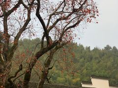 -丹山赤水风景名胜区