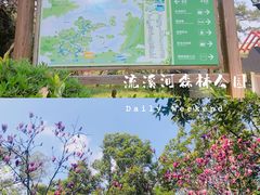 -广州市流溪河国家森林公园