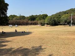 -莲花山公园