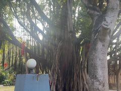 -船政文化景区-罗星塔公园