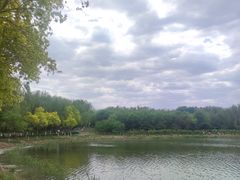 -大兴滨河森林公园