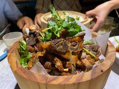 -小肥猫餐厅(海宁万朵城店)