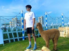 -Blue Concept Cafe&Farm·關於藍