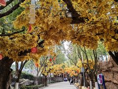 -横店影视城梦幻谷园区