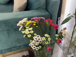 -雅曼妮spa美容养生