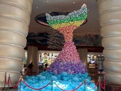 -上海海昌海洋公园