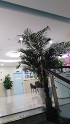 -成都军建医院·疤痕诊疗中心