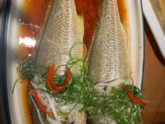 -波螺油子·海肠捞饭·青岛菜(银座店)