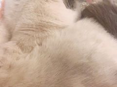 -永和大王(小厨·东四十条店)