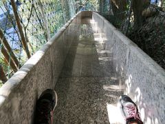 -九龙江国家森林公园