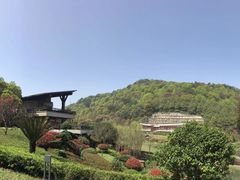 -桃花岭景区