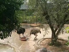 -武汉紫薇都市田园