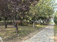 -青龙湖公园