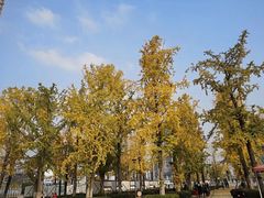 -百林公园-两江幸福广场