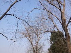 -洋湖国家湿地公园