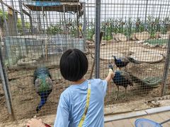 -河北村民俗体验园