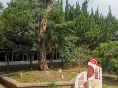 -苏州文庙(姑苏区)