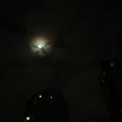 -Feel 羽毛接发