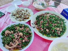 -铁山坪森林公园