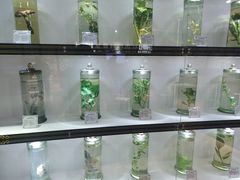 -南宁市科技馆