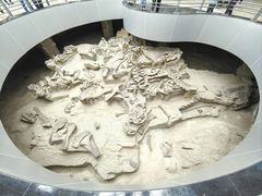 -自贡恐龙博物馆